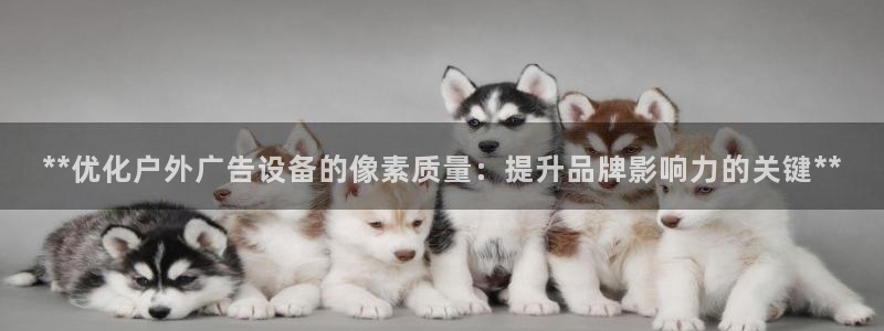 杏宇平台总代理电话：**优化户外广告设备的像素质量：提升品牌影响力的关键**
