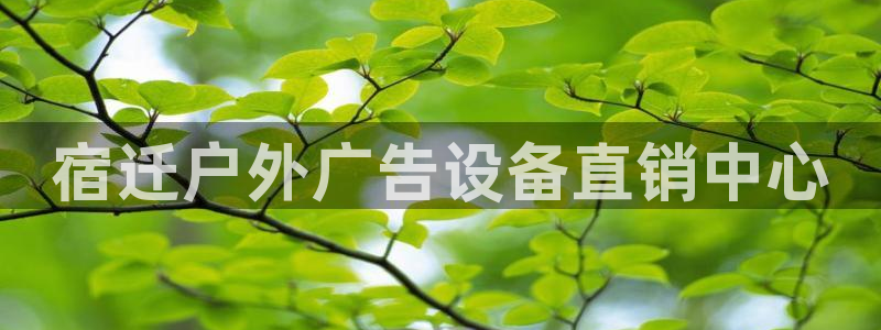 杏宇平台主管