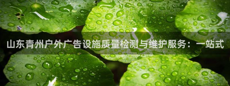 杏宇官方平台官网下载：山东青州户外广告设施质量检测与维护服务：一站式