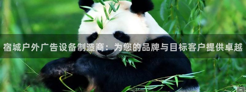 杏宇平台客服：宿城户外广告设备制造商：为您的品牌与目标客户提供卓越