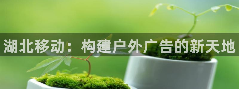 杏宇平台客服：湖北移动：构建户外广告的新天地