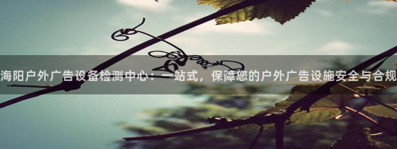 杏宇平台总代理是谁：海阳户外广告设备检测中心：一站式，保障您的户外广告设施安全与合规