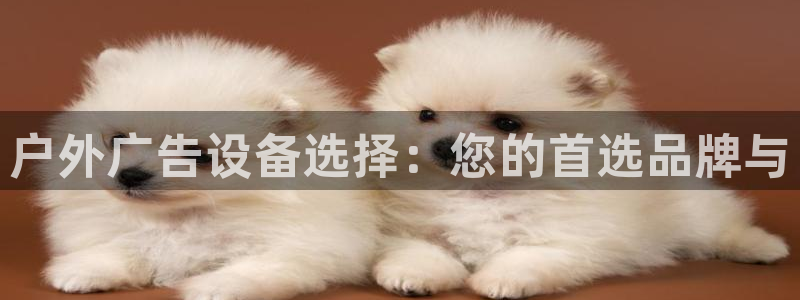 杏宇平台代理怎么赚钱的：户外广告设备选择：您的首选品牌与