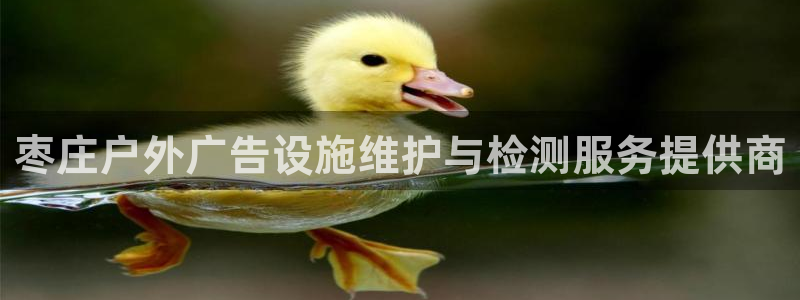 杏宇平台代理怎么样啊