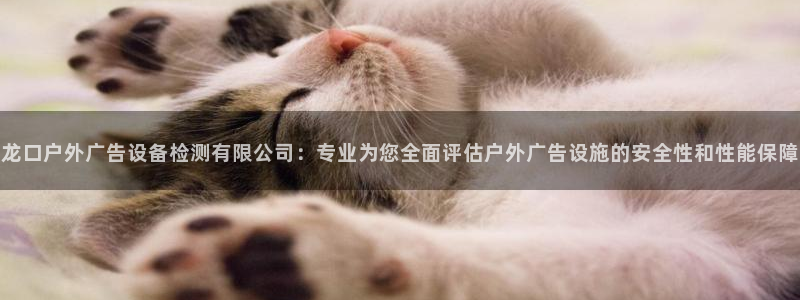 杏宇平台好吗：龙口户外广告设备检测有限公司：专业为您全面评估户外广告设施的安全性和性能保障