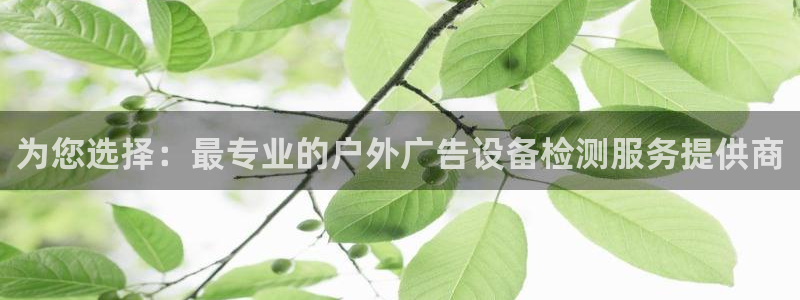 杏宇平台代理多少钱一次：为您选择：最专业的户外广告设备检测服务提供商