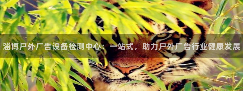 杏宇平台代理怎么样可靠吗：淄博户外广告设备检测中心：一站式，助力户外广告行业健康发展