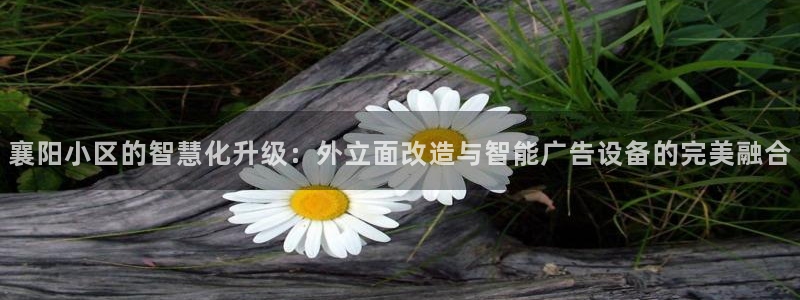 杏宇平台招商怎么样：襄阳小区的智慧化升级：外立面改造与智能广告设备的完美融合
