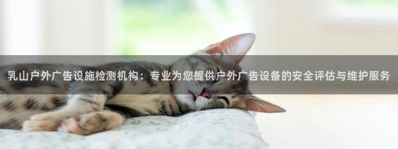 杏宇官方平台官网入口：乳山户外广告设施检测机构：专业为您提供户外广告设备的安全评估与维护服务