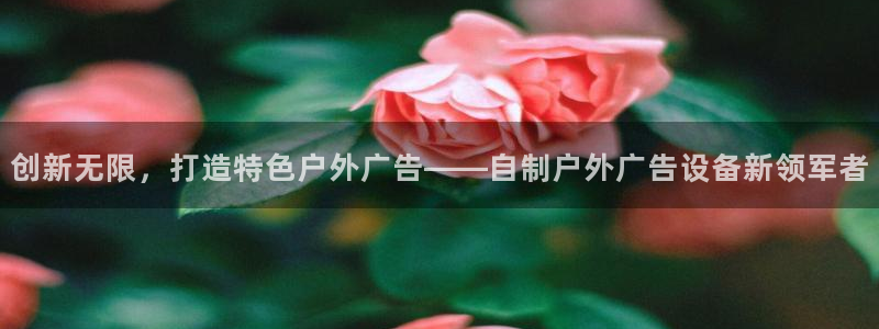 杏宇官方平台官网入口：创新无限，打造特色