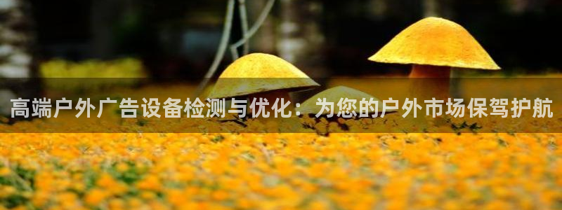 杏宇平台代理怎么样赚钱：高端户外广告设备检测与优化：为您的户外市场保驾护航