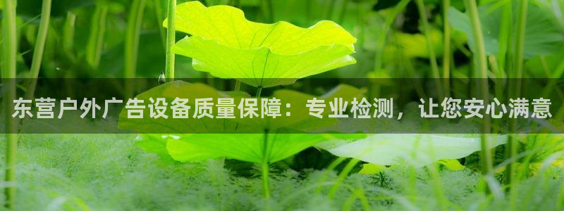 杏宇平台代理多少钱：东营户外广告设备质量保障：专业检测，让您安心满意