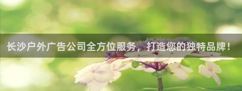 杏宇平台代理：长沙户外广告公司全方位服务