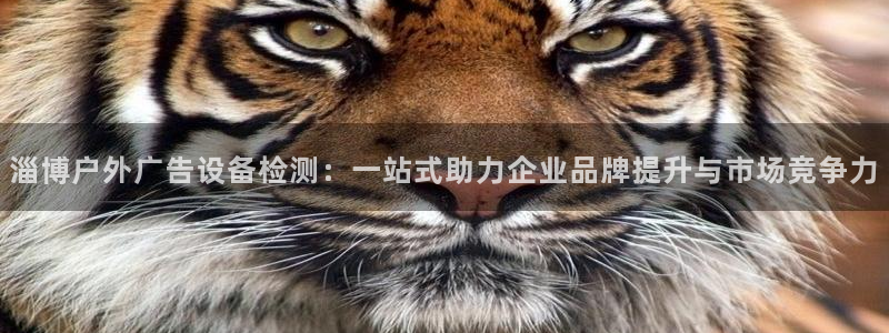 杏宇平台登录步骤是什么：淄博户外广告设备检测：一站式助力企业品牌提升与市场竞争力