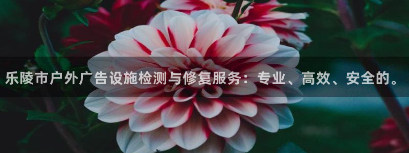 杏宇平台好吗：乐陵市户外广告设施检测与修复服务：专业、高效、安全的。