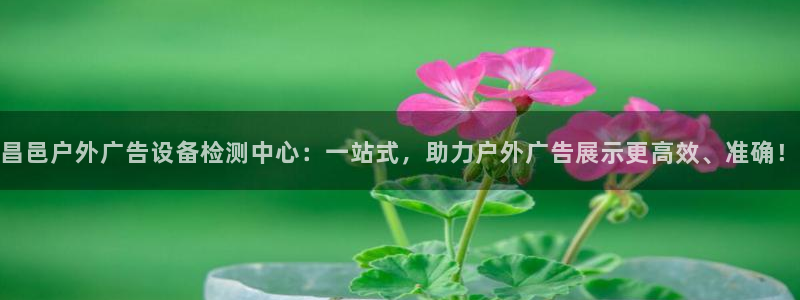 杏宇平台招商：昌邑户外广告设备检测中心：一站式，助力户外广告展示更高效、准确！