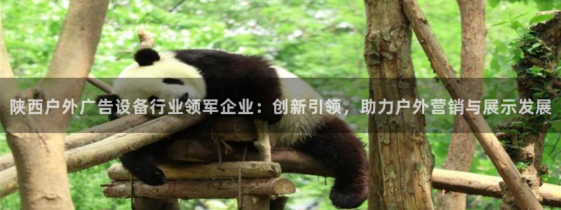 杏宇平台总代理是谁：陕西户外广告设备行业领军企业：创新引领，助力户外营销与展示发展