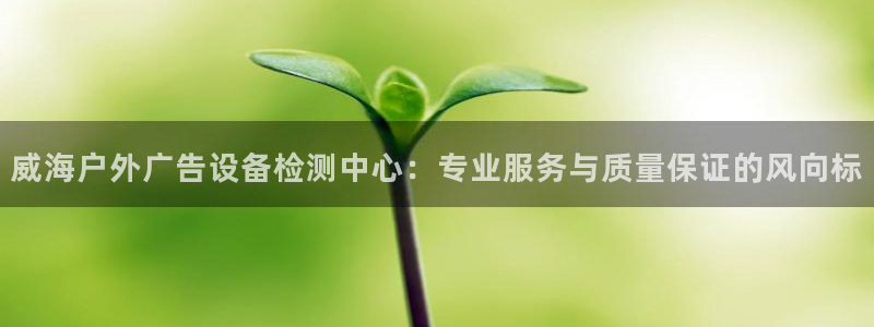 杏宇平台总代理：威海户外广告设备检测中心：专业服务与质量保证的风向标