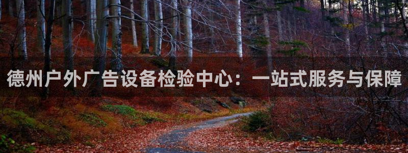 杏宇平台代理怎么样：德州户外广告设备检验中心：一站式服务与保障