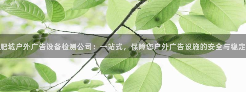 杏宇平台代理怎么赚钱：肥城户外广告设备检测公司：一站式，保障您户外广告设施的安全与稳定