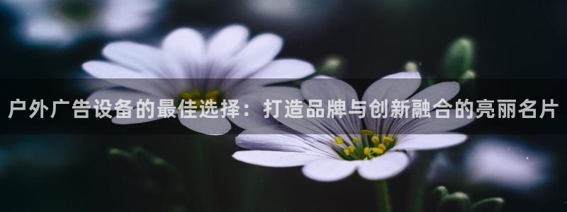 杏宇代理注册：户外广告设备的最佳选择：打造品牌与创新融合的亮丽名片