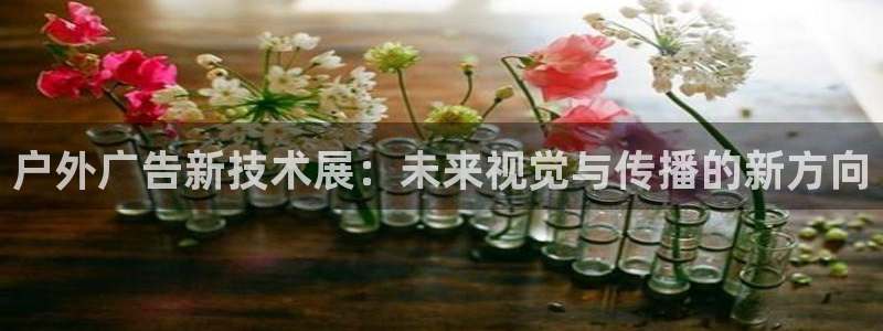 杏宇平台代理多少钱一个月：户外广告新技术展：未来视觉与传播的新方向