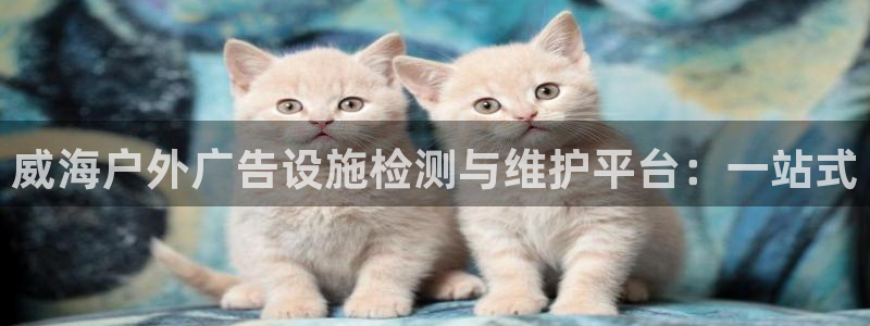 杏宇平台代理多少钱一个月：威海户外广告设施检测与维护平台：一站式