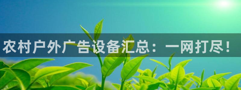 杏宇平台招商怎么样：农村户外广告设备汇总
