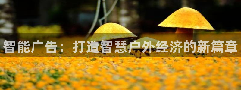 杏宇官方平台官网下载：智能广告：打造智慧