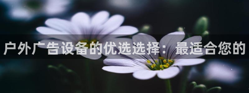 杏宇平台代理多少钱一个：户外广告设备的优选选择：最适合您的