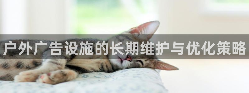 杏宇平台登录方法：户外广告设施的长期维护与优化策略