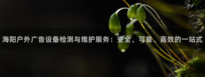 杏宇平台代理多少钱一个月：海阳户外广告设备检测与维护服务：安全、可靠、高效的一站式