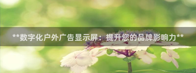 杏宇平台登录方法：**数字化户外广告显示屏：提升您的品牌影响力**
