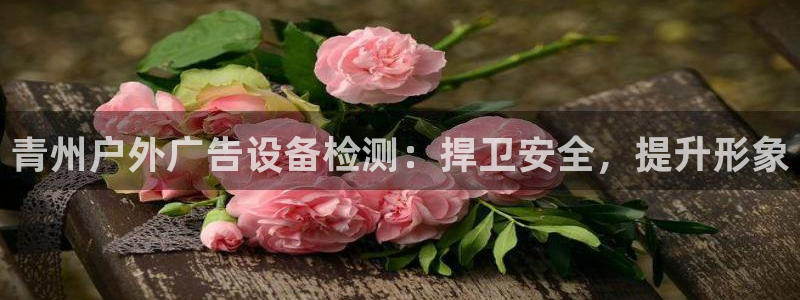 杏宇平台登录步骤是什么