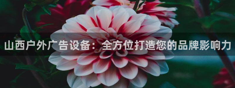 杏宇平台代理怎么赚钱