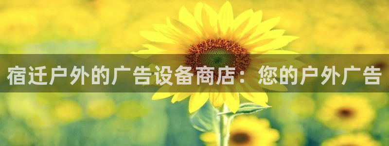 杏宇平台登录步骤图：宿迁户外的广告设备商店：您的户外广告