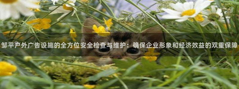 杏宇官方平台官网