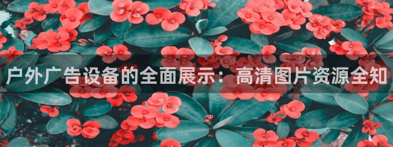 杏宇平台总代理：户外广告设备的全面展示：高清图片资源全知