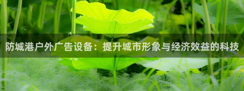 杏宇平台总代理