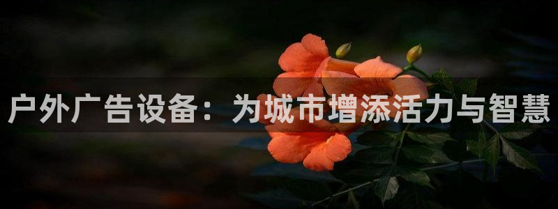 杏宇平台怎么样赚钱：户外广告设备：为城市增添活力与智慧