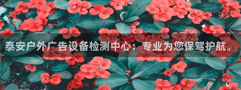 杏宇平台代理多少钱：泰安户外广告设备检测