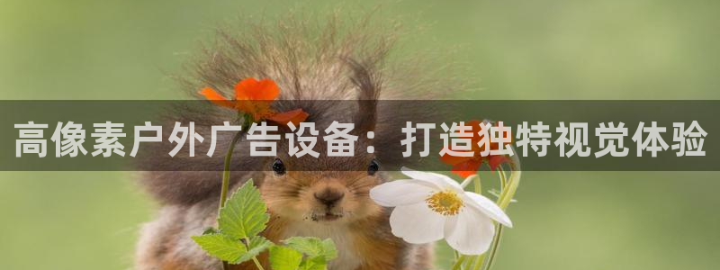 杏宇平台怎么样知乎：高像素户外广告设备：