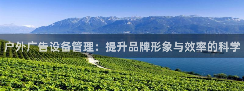 杏宇平台代理多少钱一个月：户外广告设备管理：提升品牌形象与效率的科学