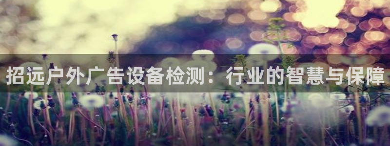 杏宇代理注册：招远户外广告设备检测：行业