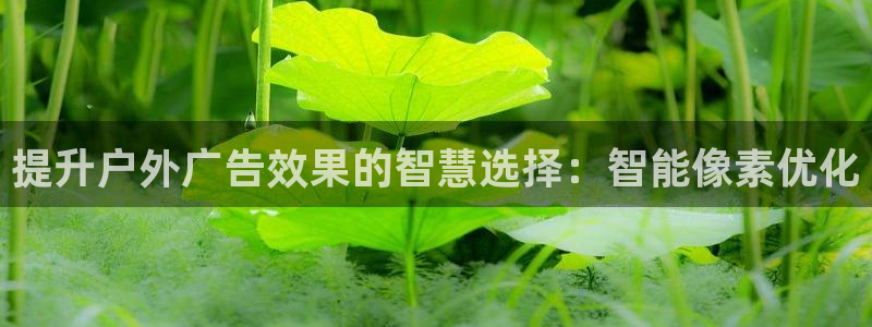 杏宇平台登录步骤是什么：提升户外广告效果