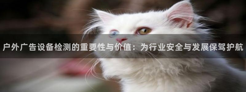 杏宇平台代理多少钱一个月