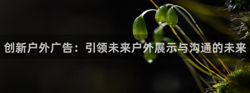杏宇平台代理怎么赚钱：创新户外广告：引领